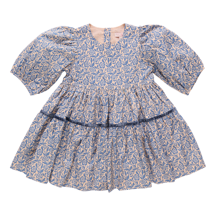Pink Chicken Maribelle Dress in Blue Climbing Floral (sizes 2-6)