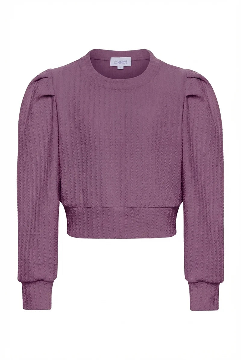 Pleat Jane Sweatshirt in Tex Plum