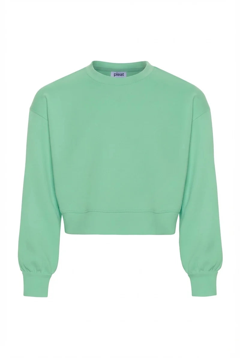 Pleat Frances Sweatshirt in Clove