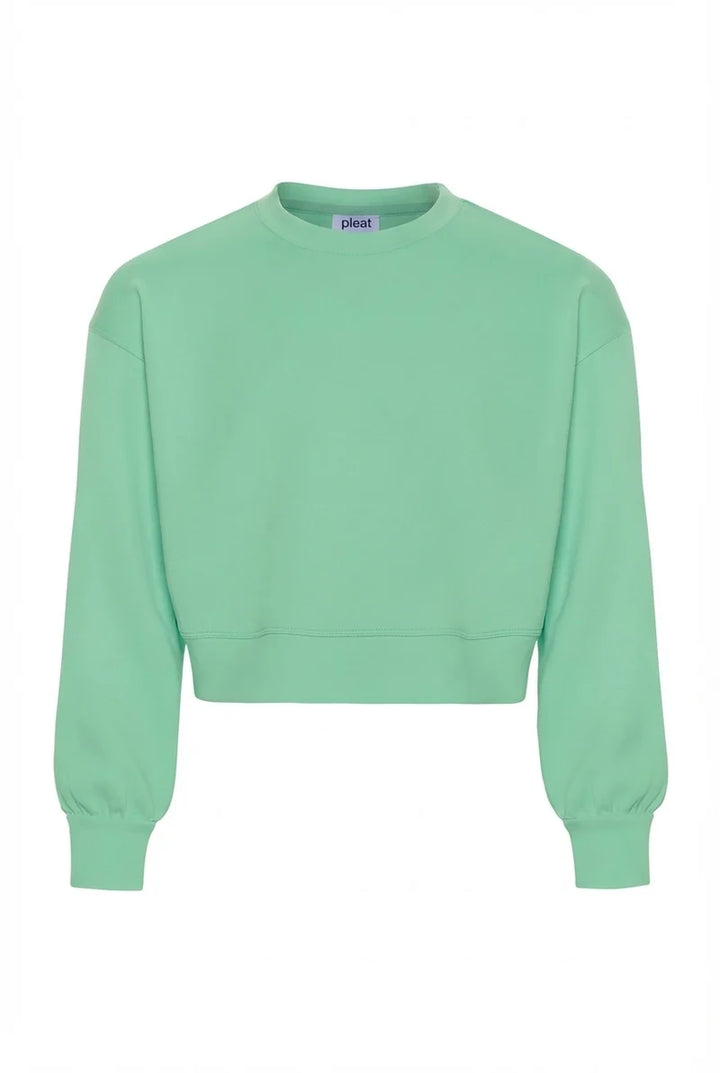 Pleat Frances Sweatshirt in Clove