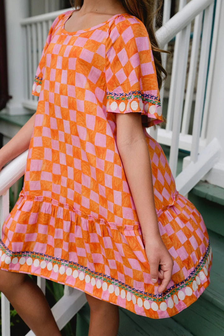 Briton Court Arya Dress in Pink Check