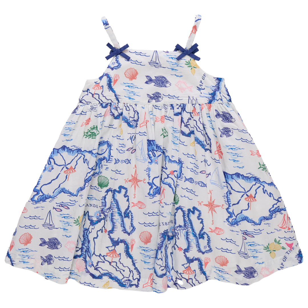 Pink Chicken Tia Dress in Island Maps