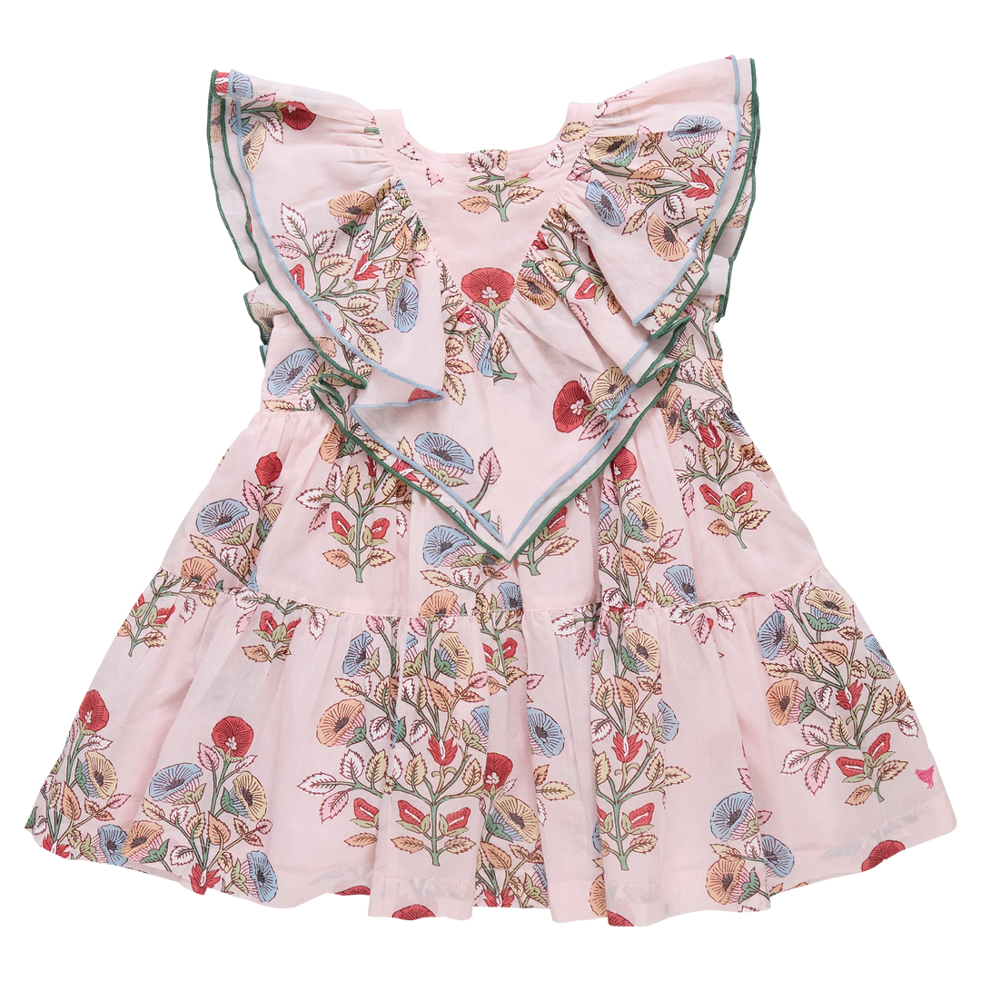 Pink Chicken Raphaela Dress in Bouquet Floral (size 3-6)