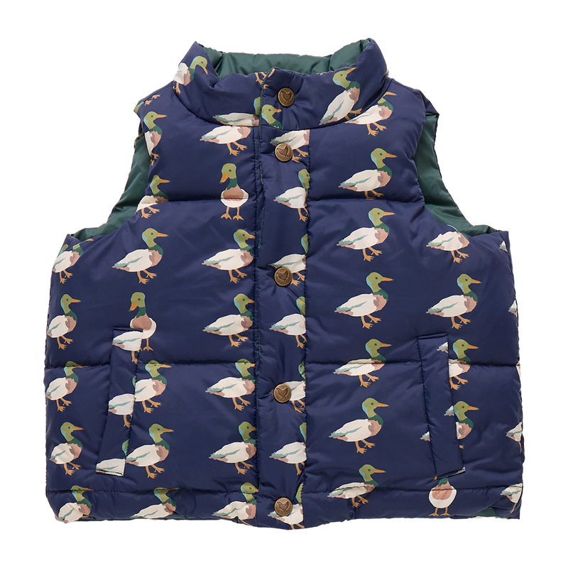 Pink Chicken Reversible Ellis Vest in Evergreen Stripe (sizes 4-6)