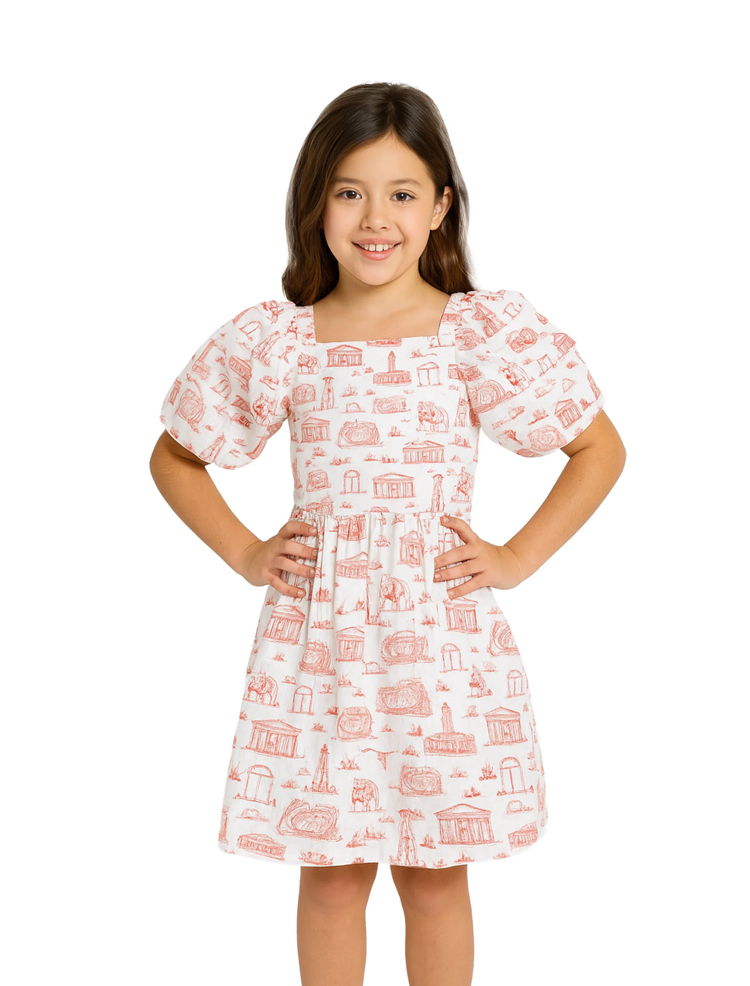 Georgia Toile Puff Sleeve Dress