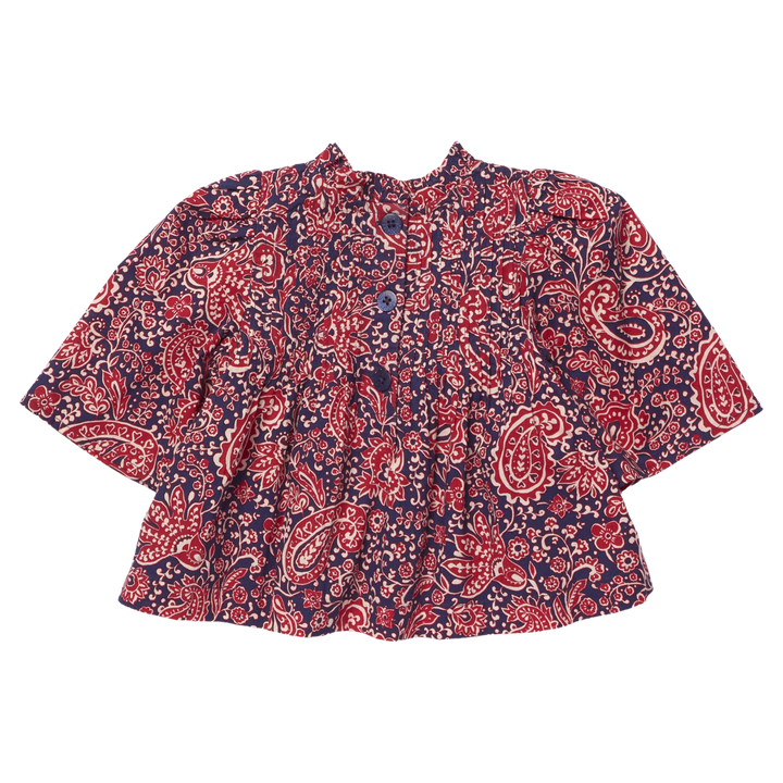 Pink Chicken Jaipur Top in Paisley Vines (size 4-6)