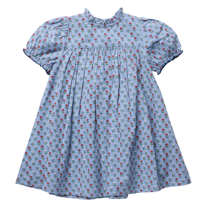 Pink Chicken Lucia Dress in Light Blue Carnation (size 2-6)