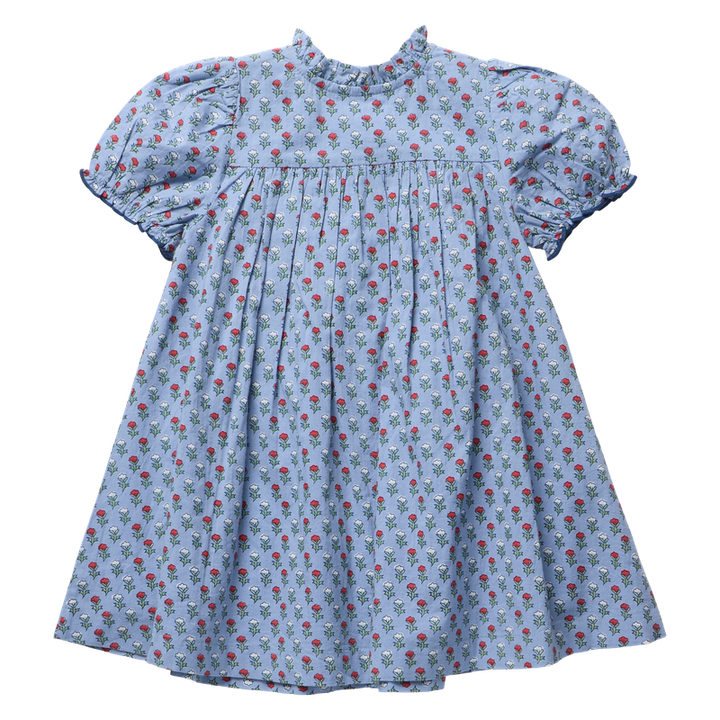 Pink Chicken Lucia Dress in Light Blue Carnation (size 2-6)