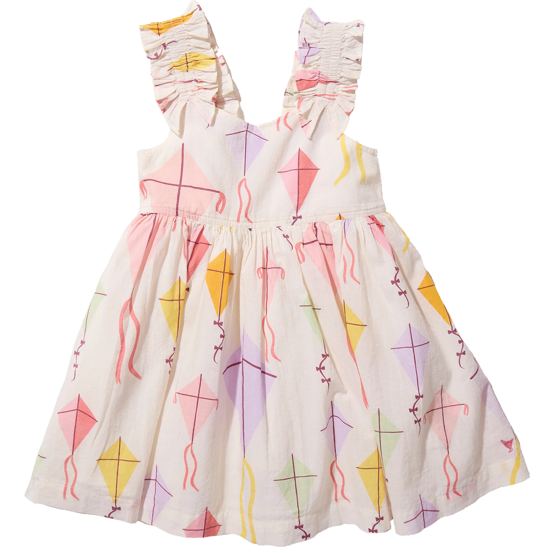 Pink Chicken Misha Dress in Flying Kites (size 3-6)
