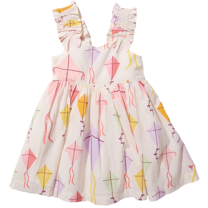 Pink Chicken Misha Dress in Flying Kites (size 3-6)