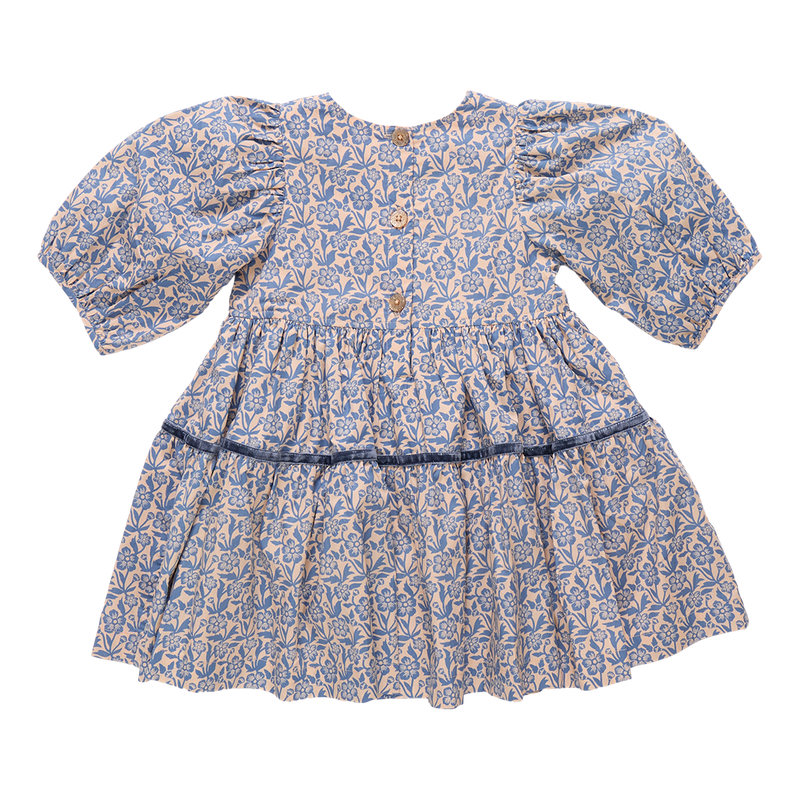 Pink Chicken Maribelle Dress in Blue Climbing Floral (sizes 2-6)