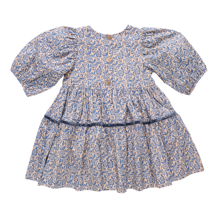Pink Chicken Maribelle Dress in Blue Climbing Floral (sizes 2-6)